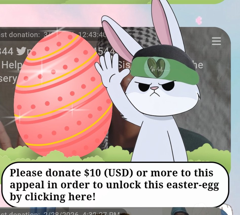 NessrineN 🇵🇸🔻 tweet media