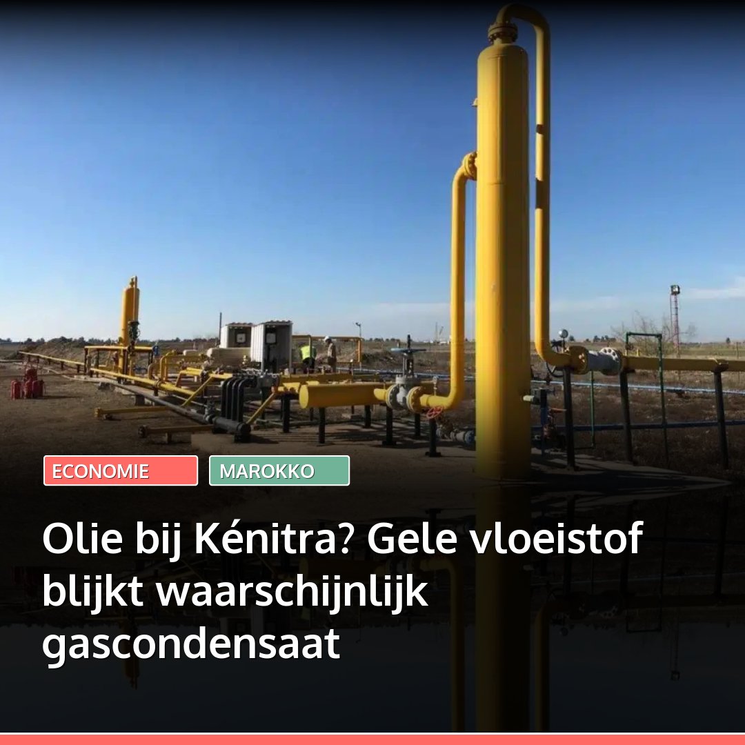 marokko's tweet image. Ophef in de buurt van Kénitra, waar bij een waterboring geen water maar een geelachtige vloeistof met brandstofgeur omhoog kwam. De vondst lijkt geen olie, maar waarschijnlijk gascondensaat uit het Gharbbekken.
👉🏽 Lees: l.marokko.nl/Yip68t2n 👈🏽

#marokko #kenitra