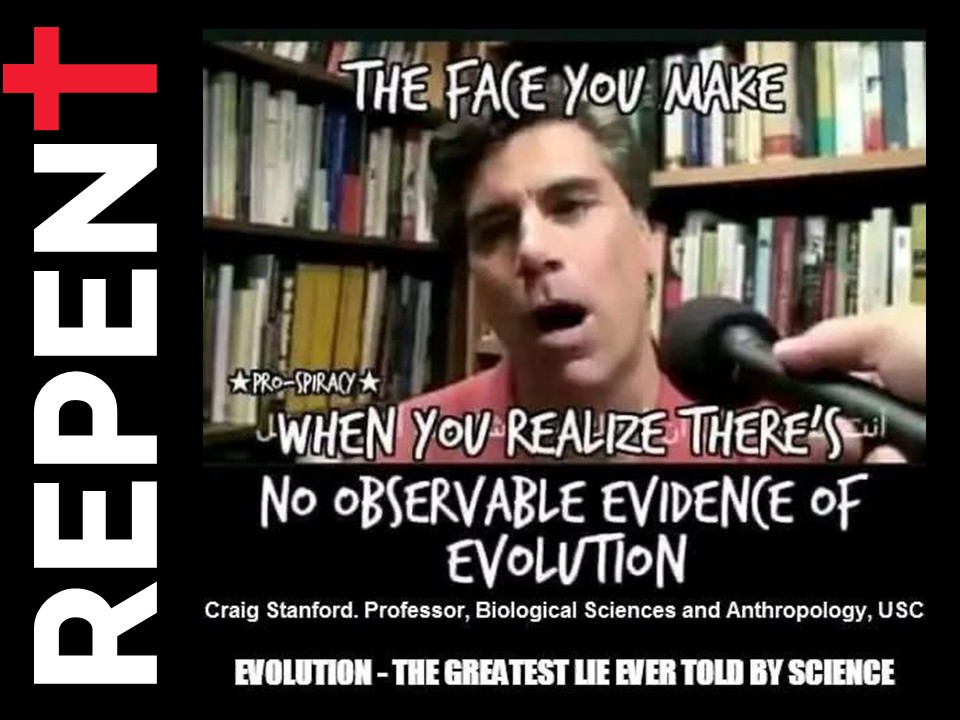 Bible Militant tweet media