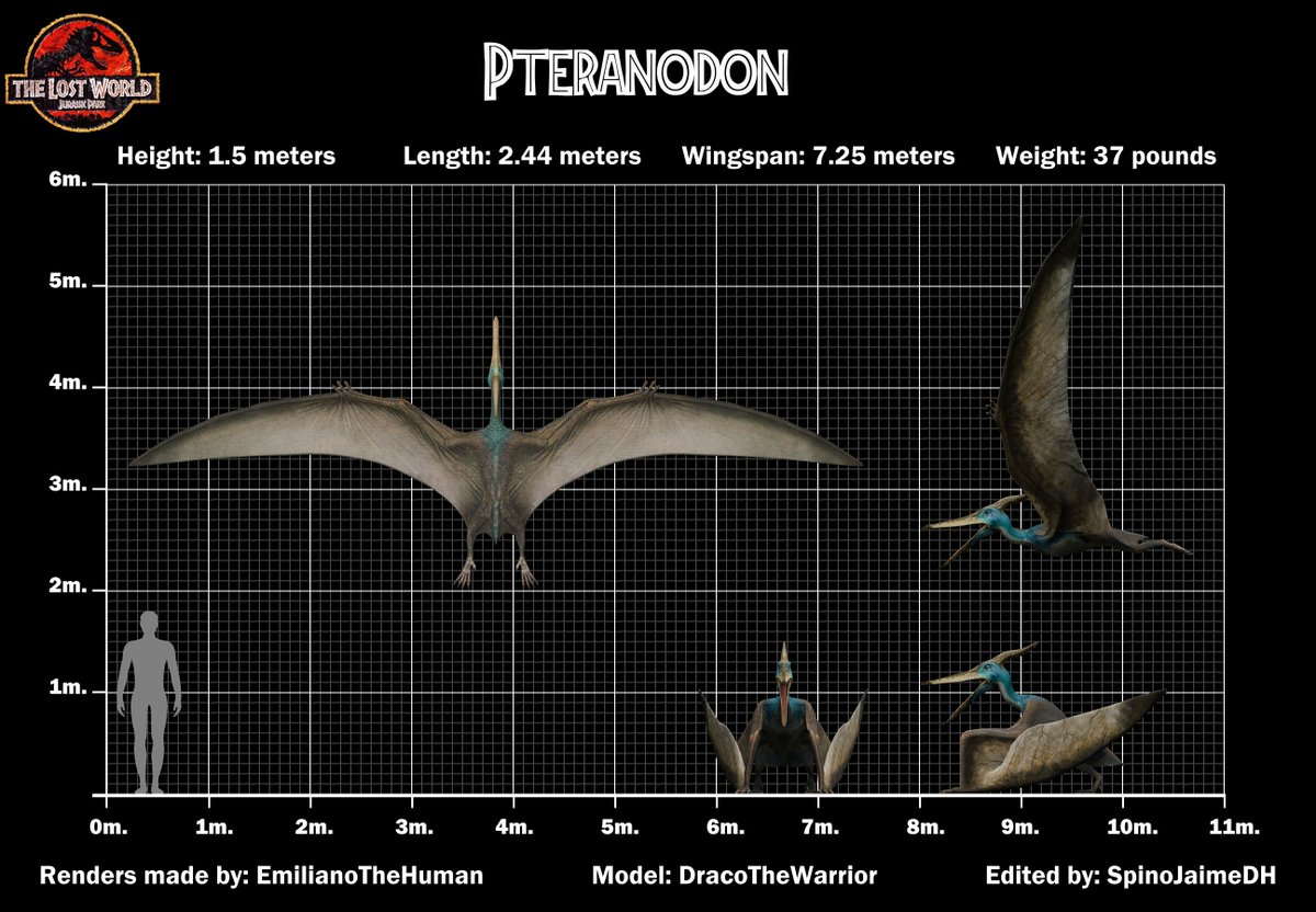 JaimenivoresD's tweet image. Okay, here are the corrected sizes of the T.rex, Triceratops, and Pteranodon from TLW.
I hope the change of opinion isn't a bother.
#thelostworld #jurassicpark #trex #triceratops #sizecomparison #dinosaurs #pteranodon