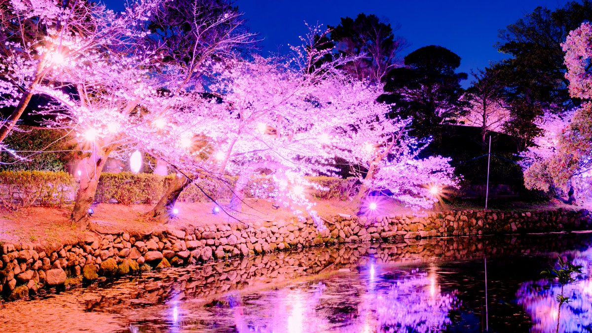 M_つる🌝 tweet media