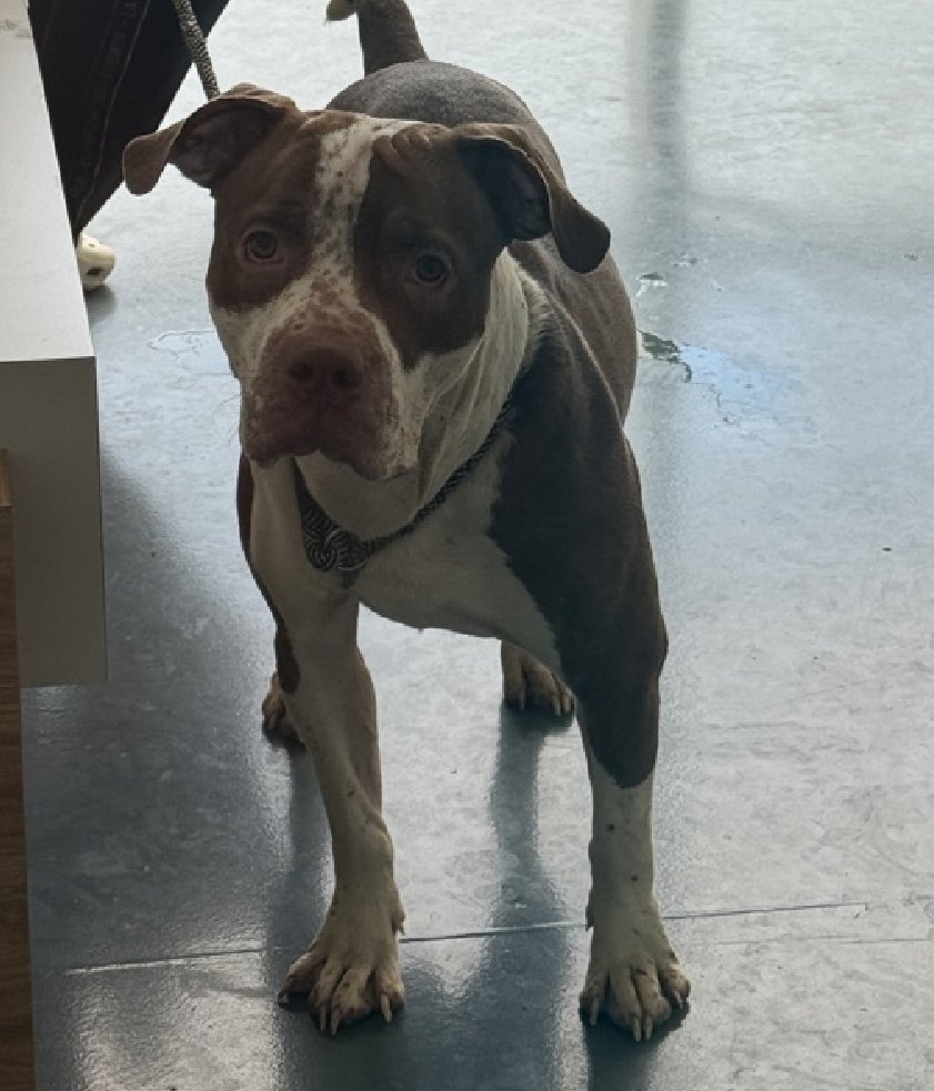 Not the Same tweet media