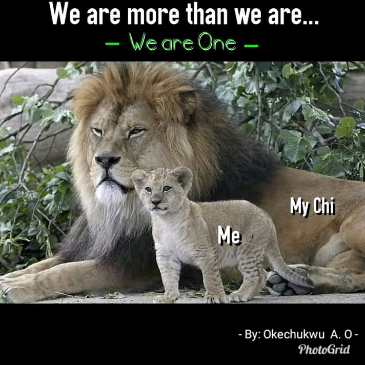 Onwa_Nnewi tweet media