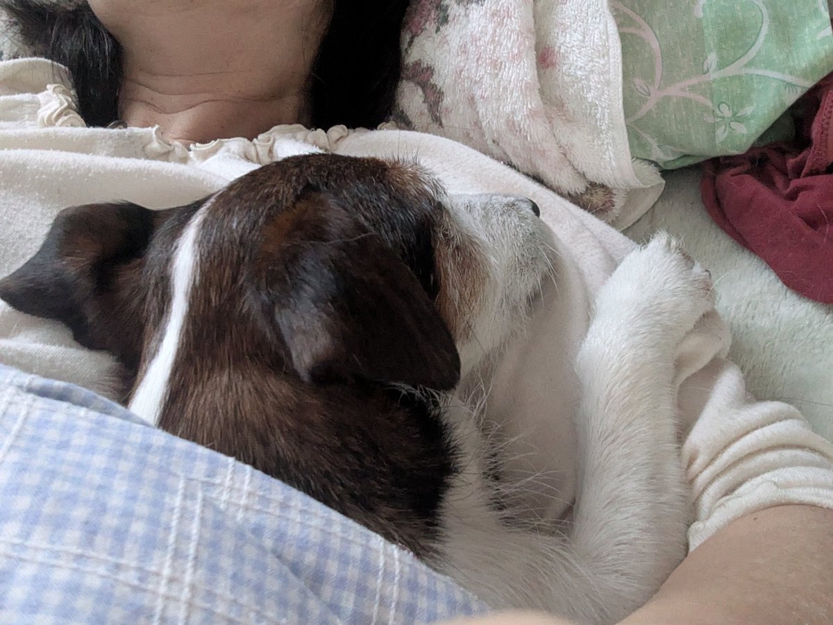 複雑奇怪な浪速っ子 tweet media