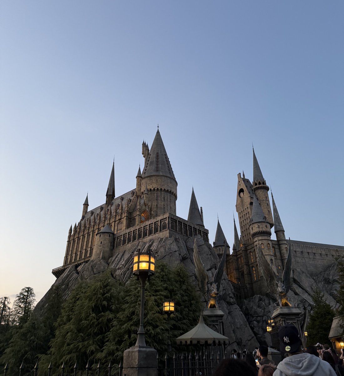 kiki_suke🌳ききすけ◡̈ tweet media