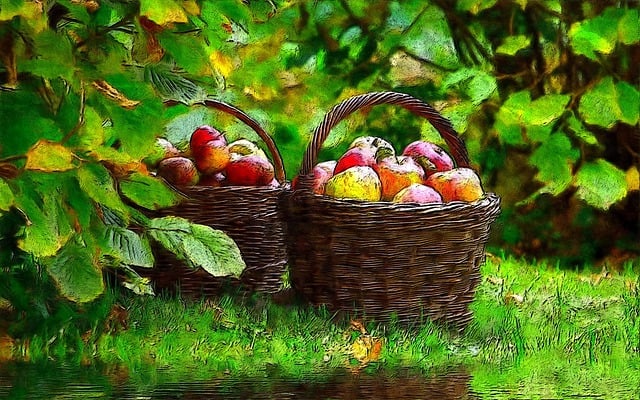 Lewis Fisher tweet media