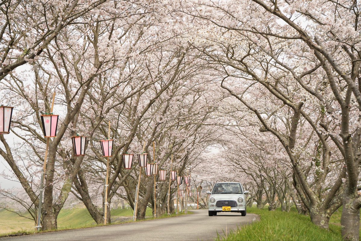 ✟ ✞ クリフト ✞ ✟ tweet media