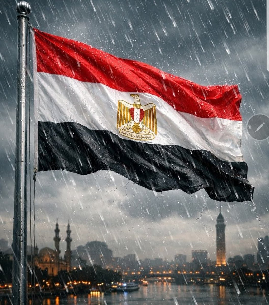 Dr/Ranouch🇪🇬 tweet media