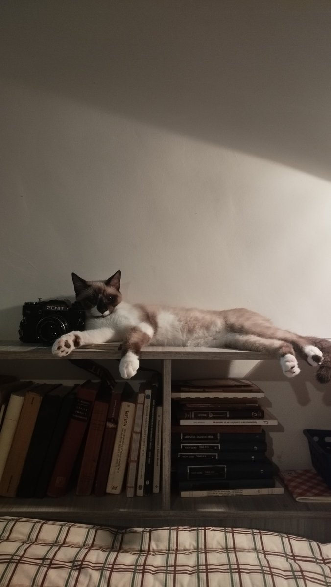 me gustan los ravioles tweet media