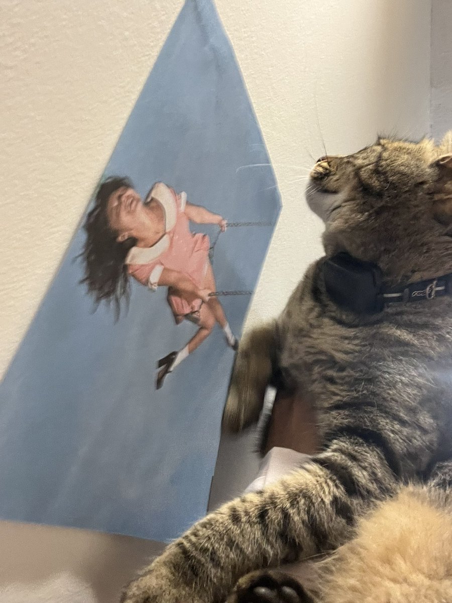 nini’s in love ⋆˚꩜｡ tweet media