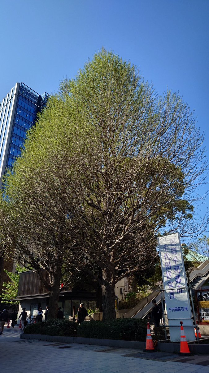 なべりんぐ tweet media