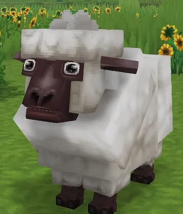 Sheep Of the Day🐑 tweet media