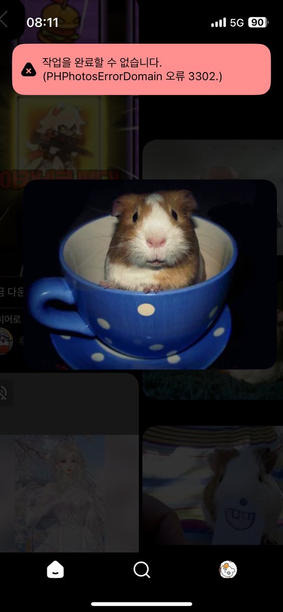 이지지 tweet media