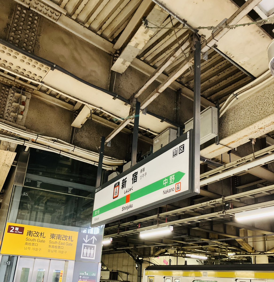 反町みしろ tweet media