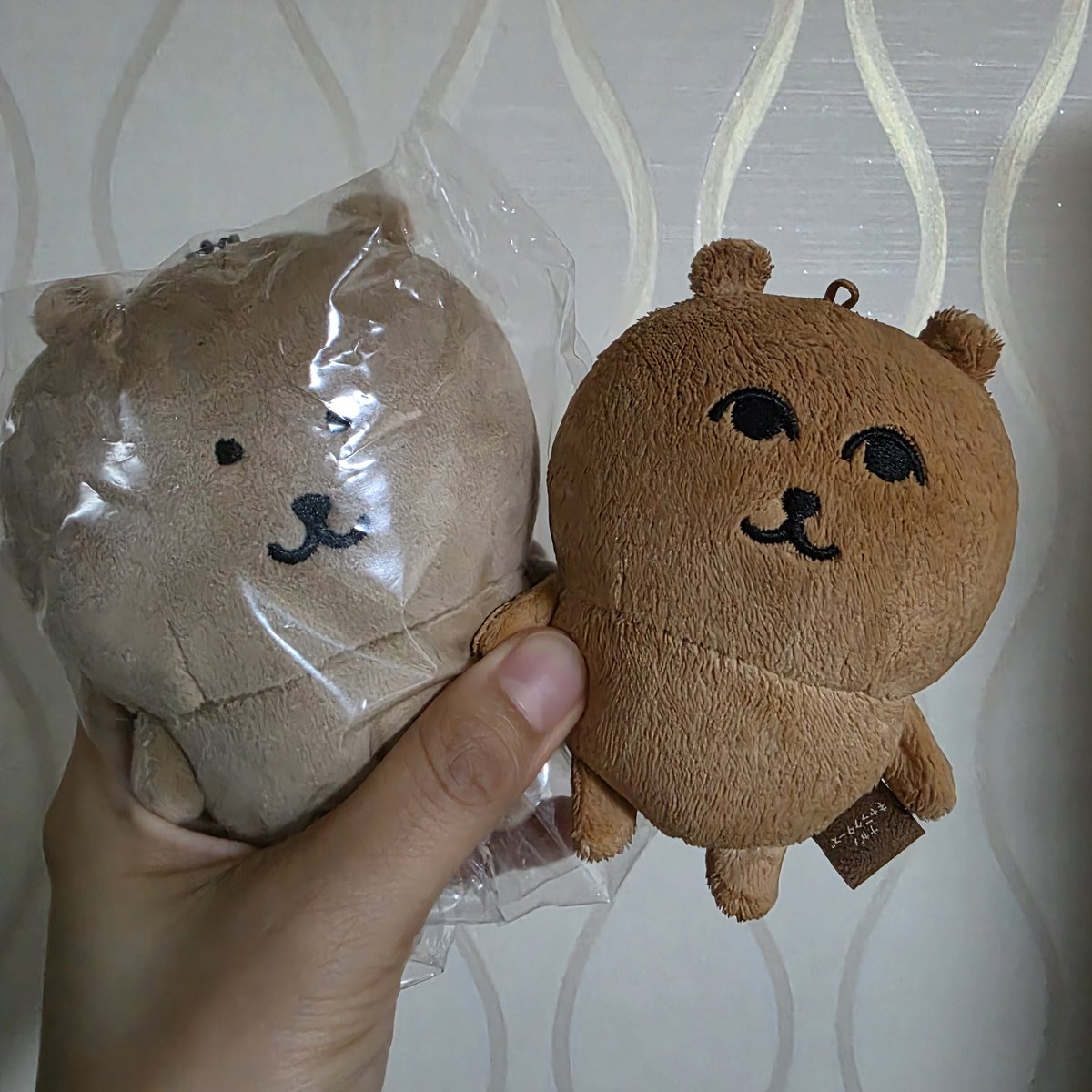 PANG🍞 tweet media