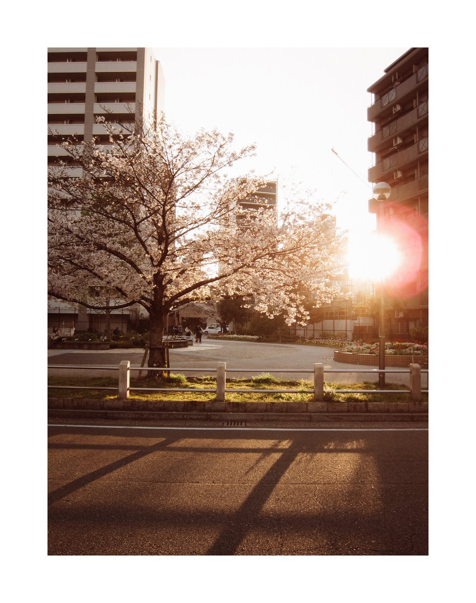 Tetsuji FUJINO | 藤野哲次 tweet media