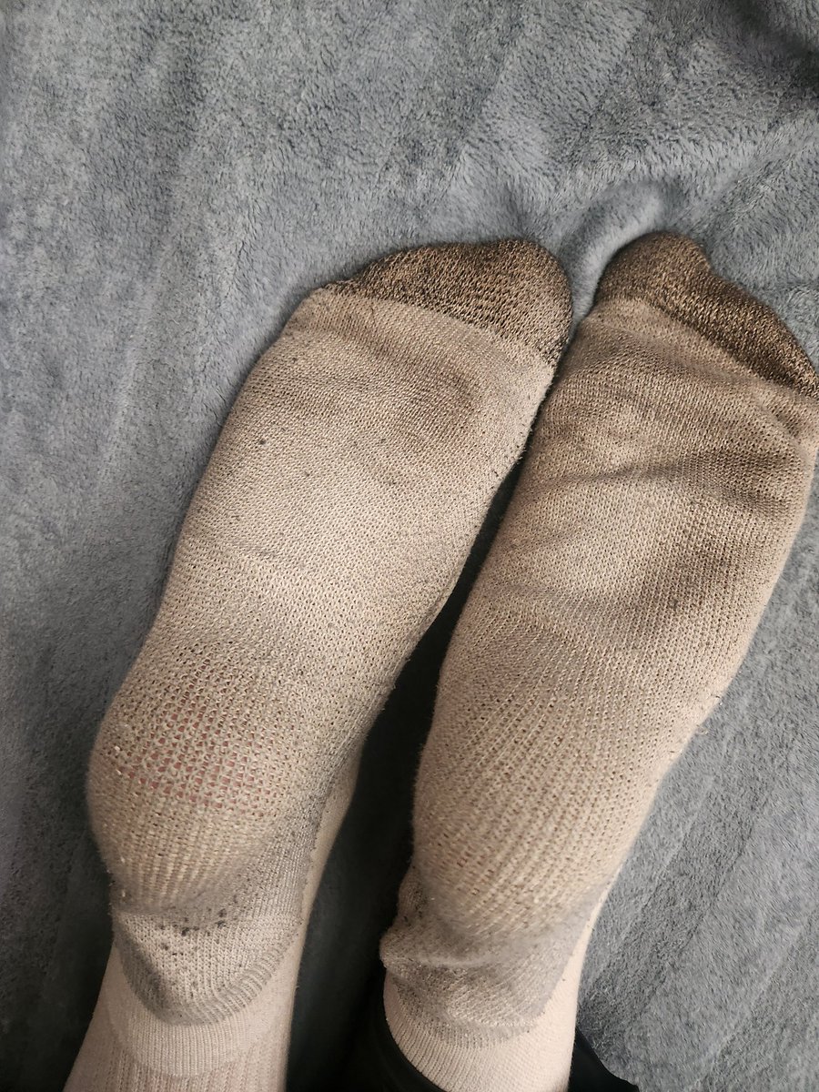 Cammille tweet media