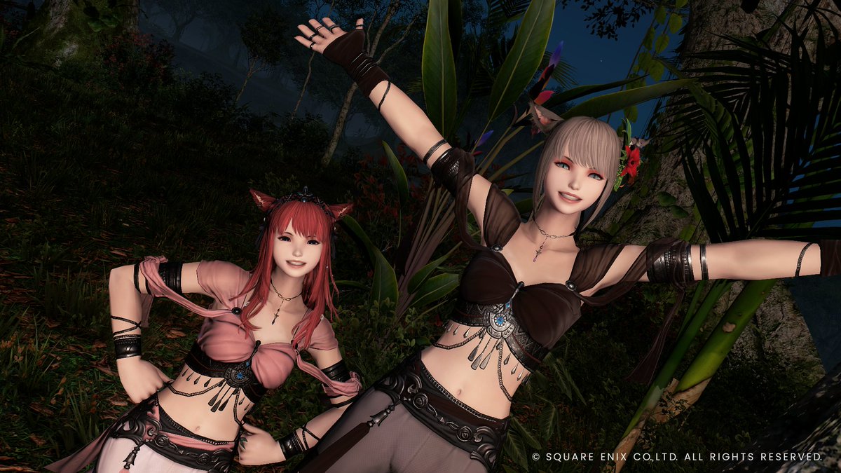 桔梗ꕤ.* tweet media