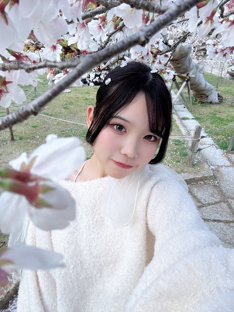 皐月ゆい@WT☆Egret(SPM) tweet media