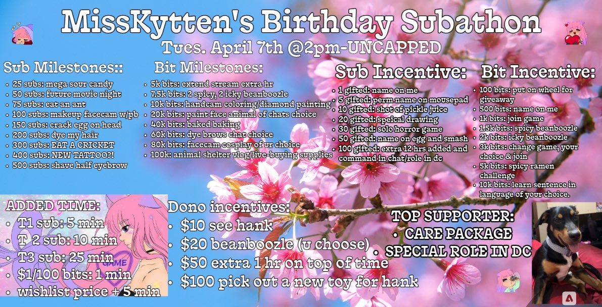 MissKytten's tweet photo. TWITCH &amp; KICK Uncapped Birthday Subathon on Tuesday April 7th @ 2pm CST 🩷 #twitch #kick #birthday #subathon https://t.co/Nwd0V7PWeH
