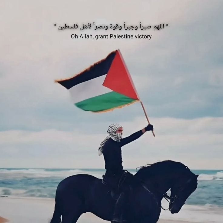 🍉abo.__.ood1🍉 tweet media