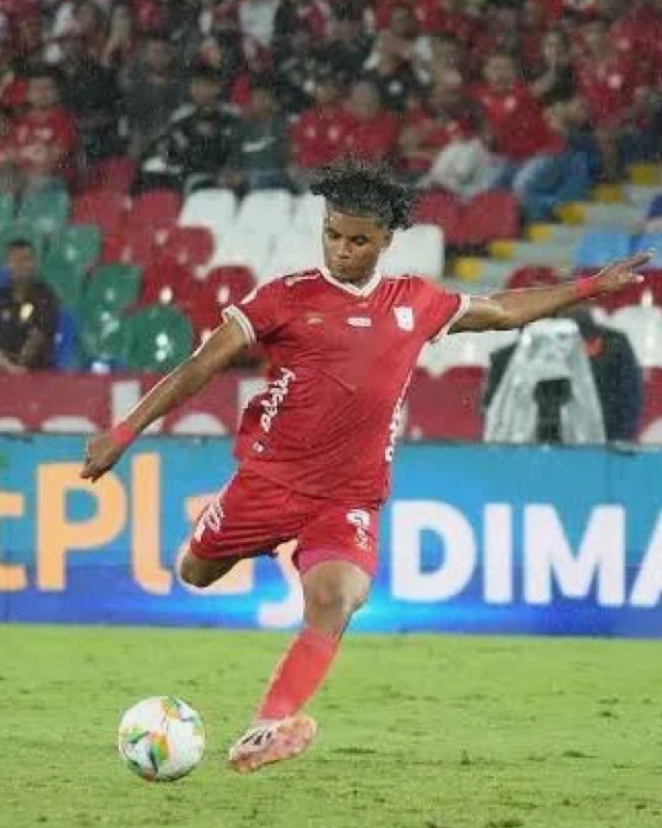 Wilmer Barahona H. tweet media