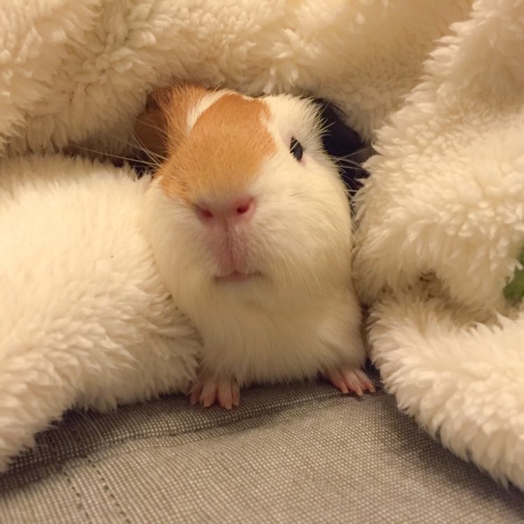 るもちゃん🌈とヒロ tweet media