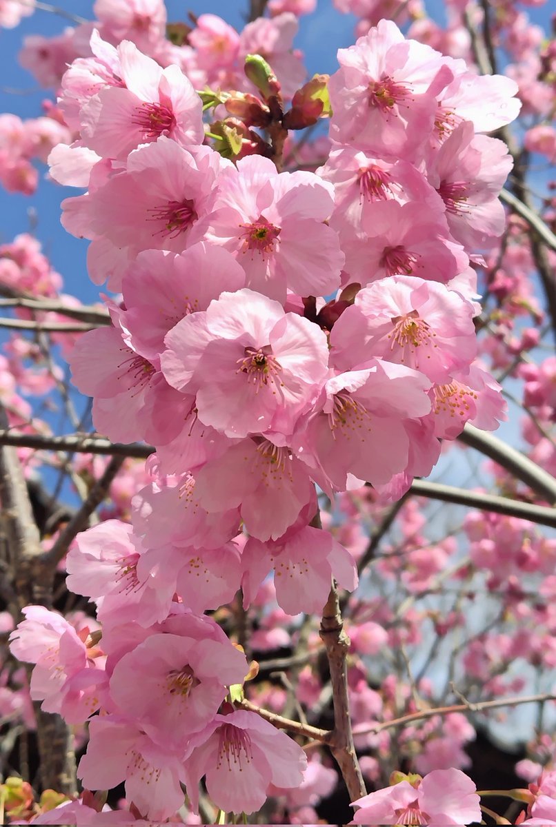 faithhopelove tweet media