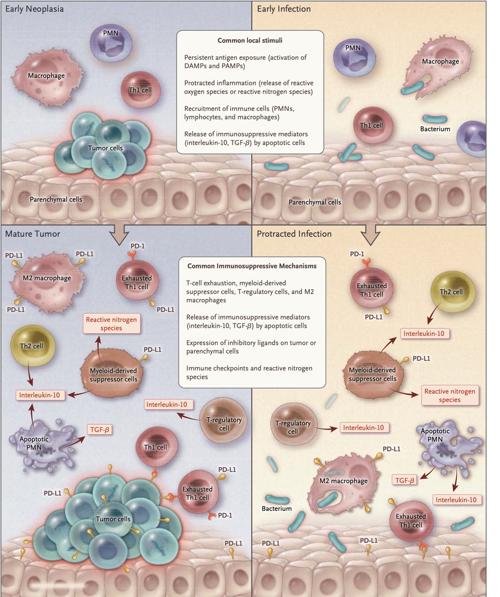 Dr. Pat Soon-Shiong tweet media
