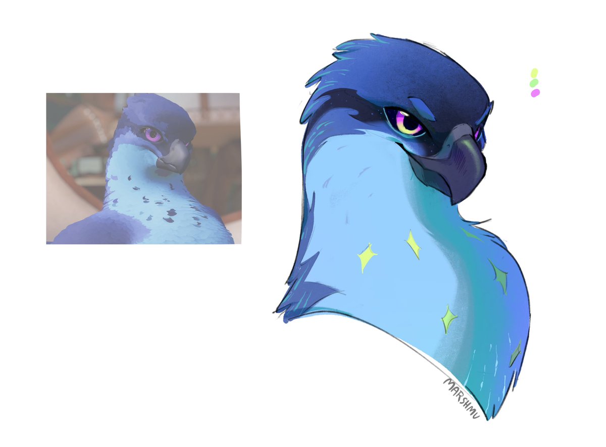 What would u do if there was a bird