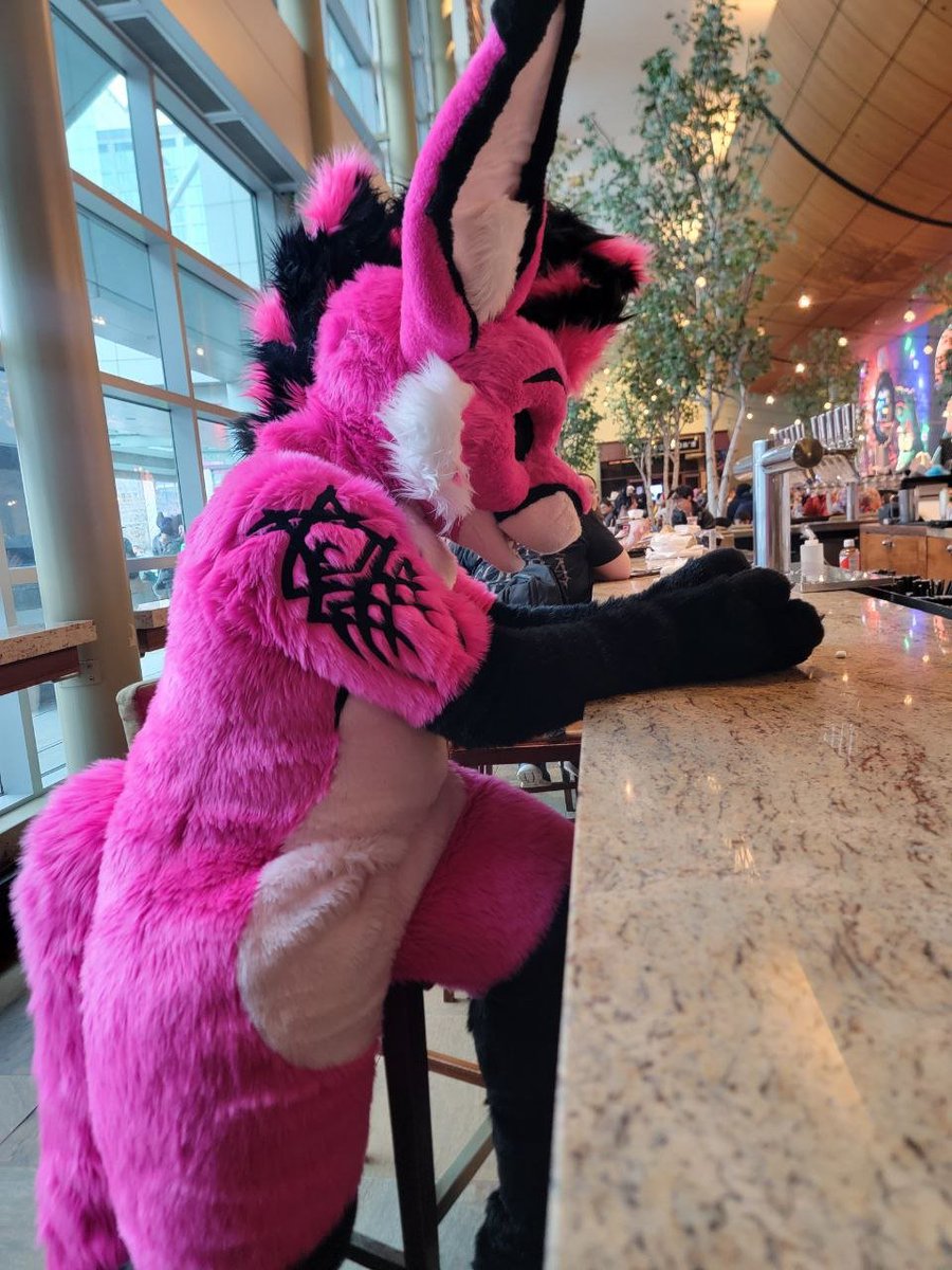 Andrew Fenbit tweet media