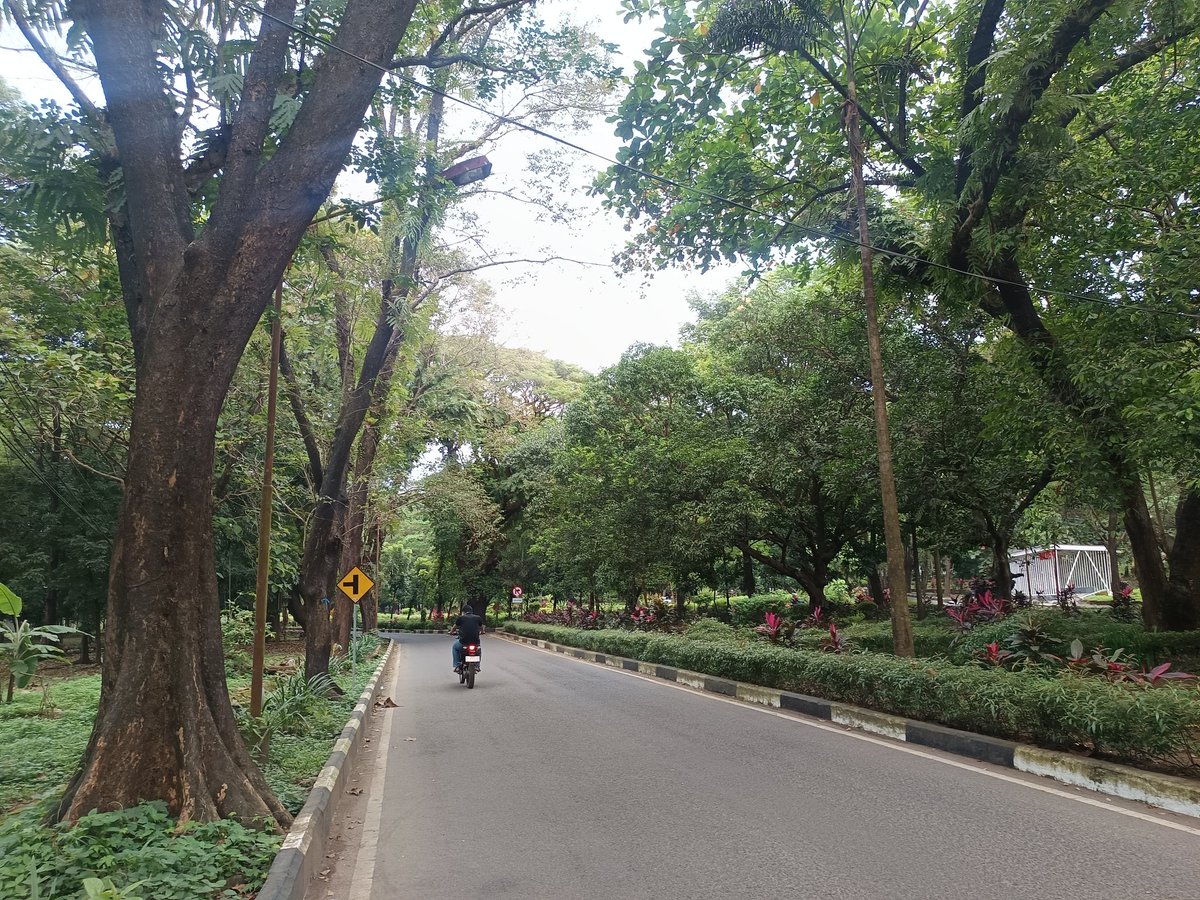 ɨʟ ◐ tweet media