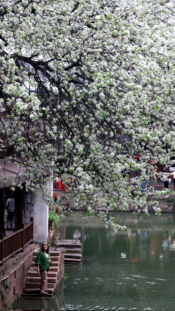 凌起点 tweet media