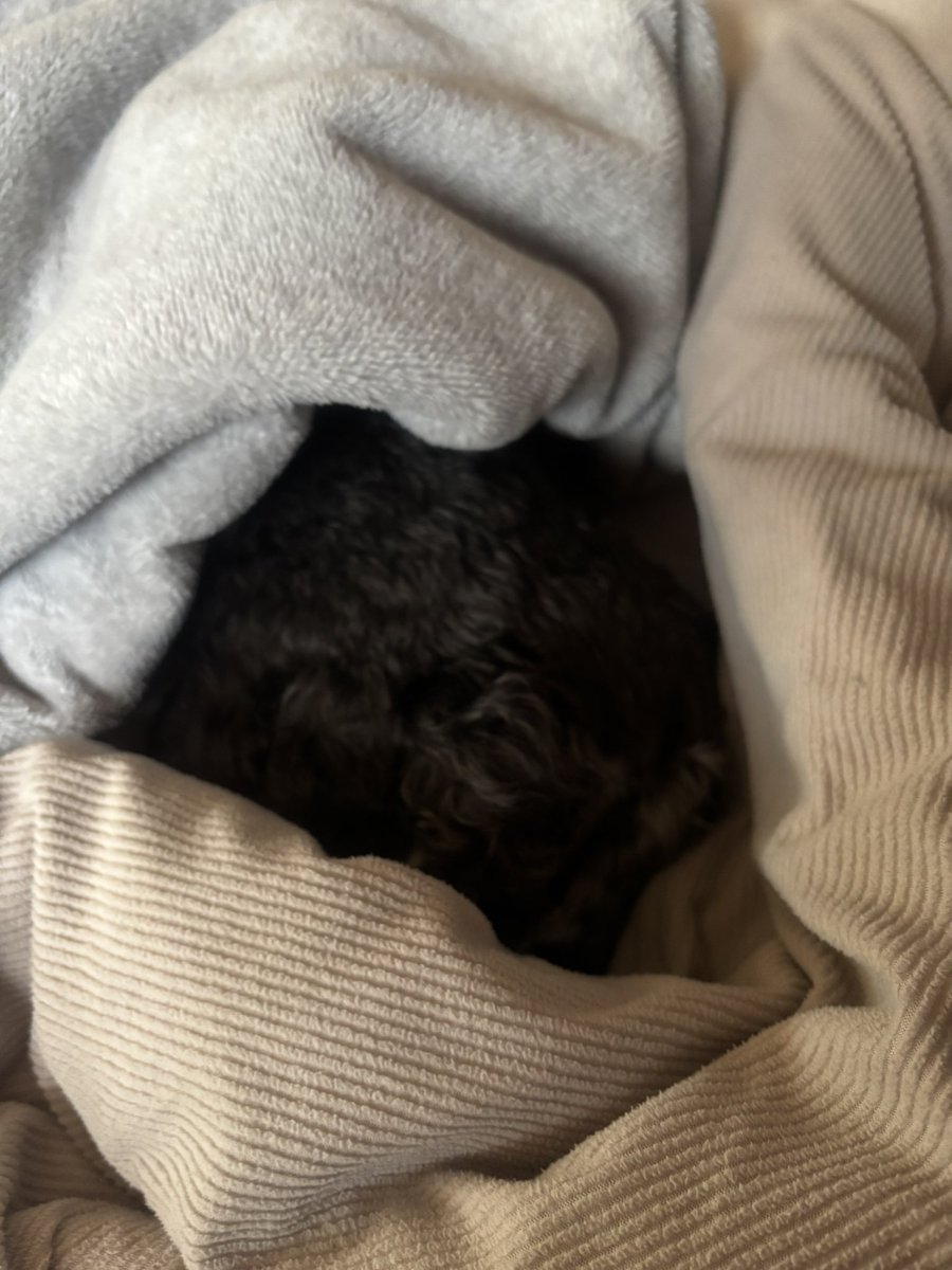 ふれさん tweet media