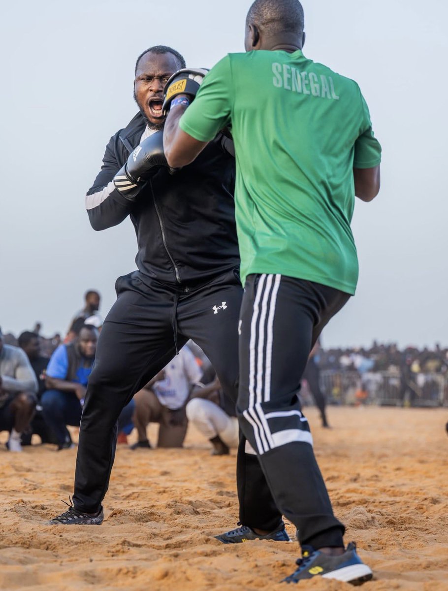 Modou Lo tweet media