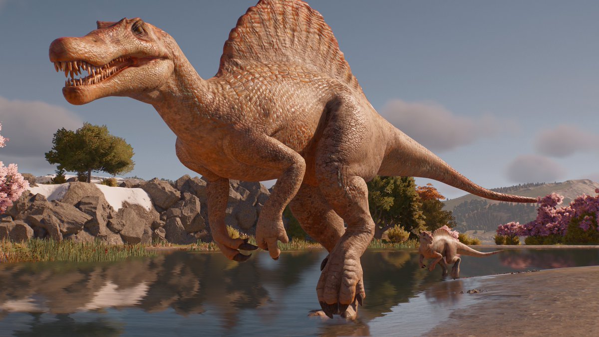 Evolution Square tweet media