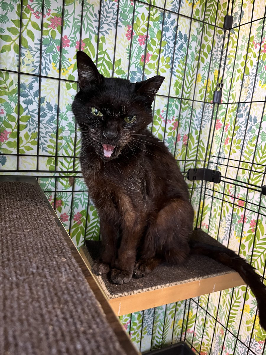 なかのひと的な2 tweet media