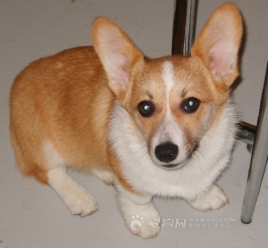 Gerd Thieme tweet media