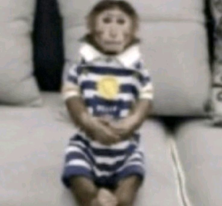 kian⁷, 🪭 tweet media