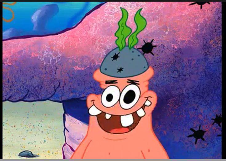 Monarque tweet media