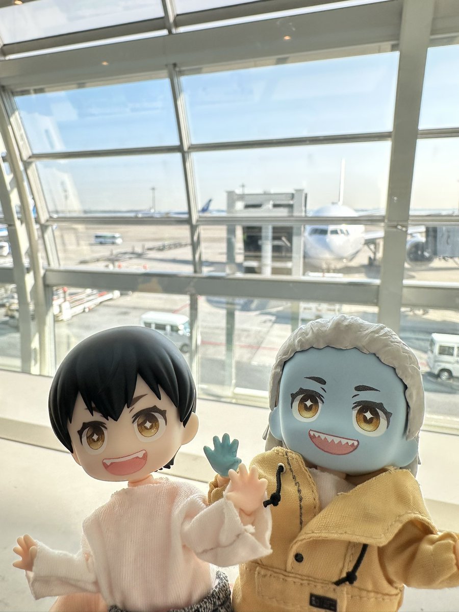 八陣はち🪼 tweet media