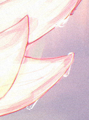 Calm 🪷🐉 tweet media