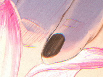 Calm 🪷🐉 tweet media