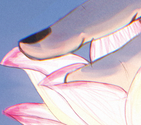 Calm 🪷🐉 tweet media