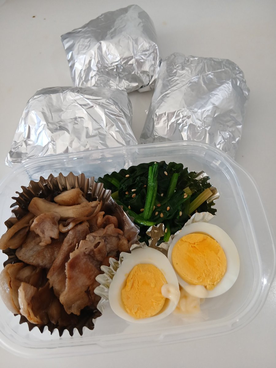 ネコムー🧪｜生活研究 tweet media