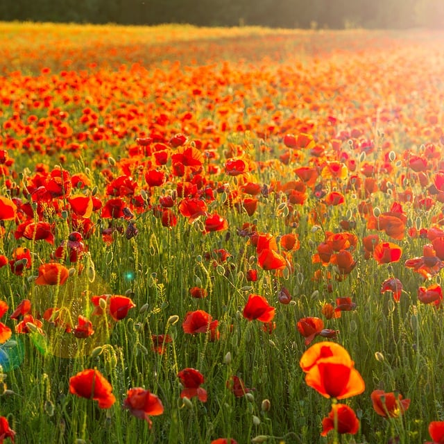 Stacey Kennedy tweet media