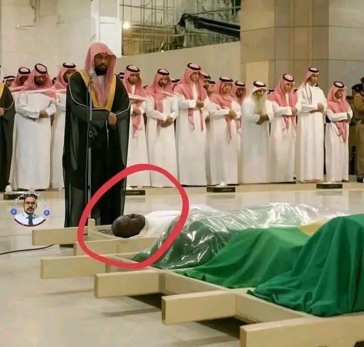 صالح tweet media