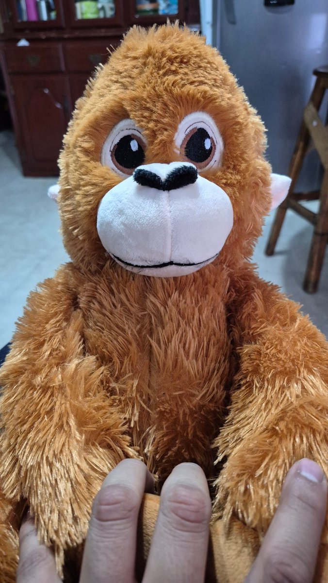 ChuchitoDomin  tweet media