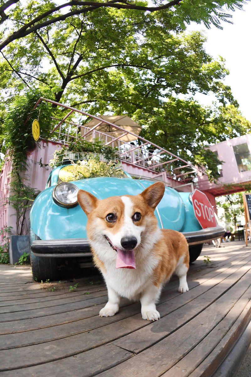 Krystal Pearson tweet media