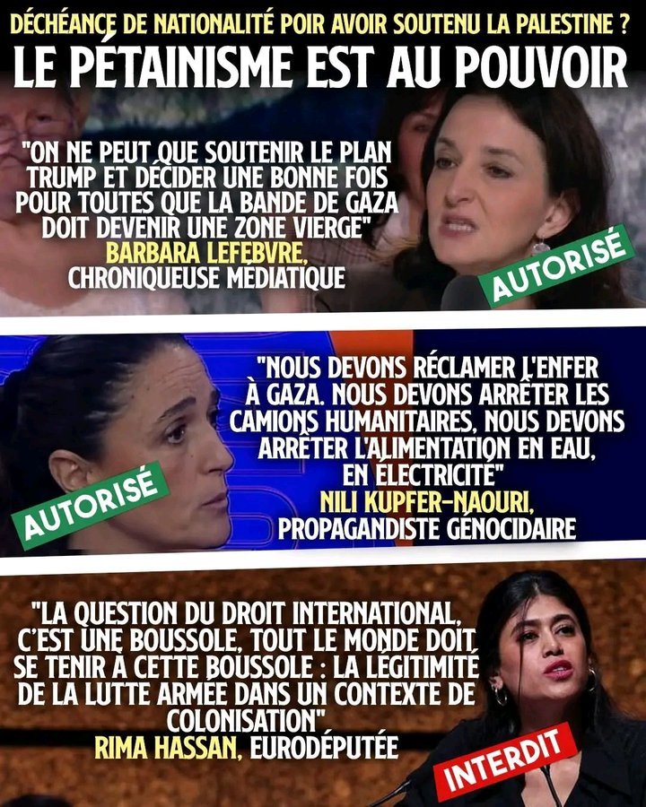 Targui🌴 tweet media